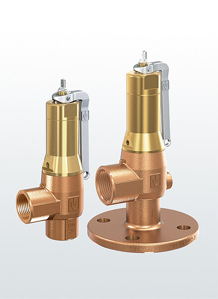 DN65 Goetze Fig: 642mGFL Safety Relief Valve Flanged DIN EN1092-3