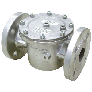 [346006500] 65mm PN16 Dungs GF40065/4 Gas Filter