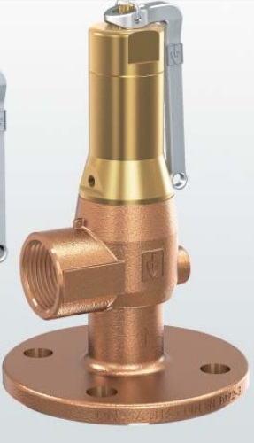 Goetze Fig: 645 Safety Valve Flanged Inlet